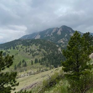 Meet your Posher, Sunice